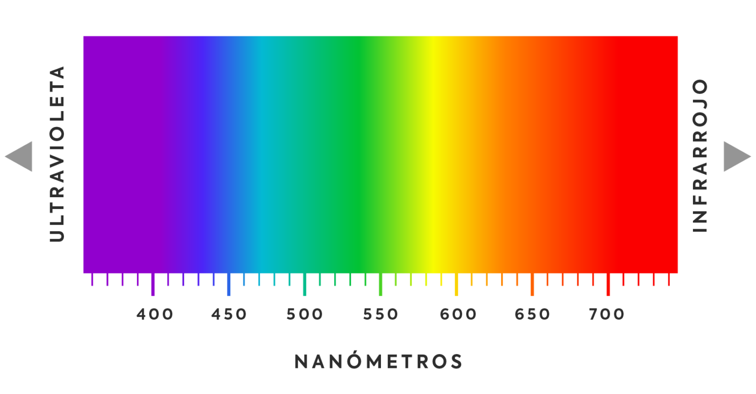 Cómo es la gama de colores